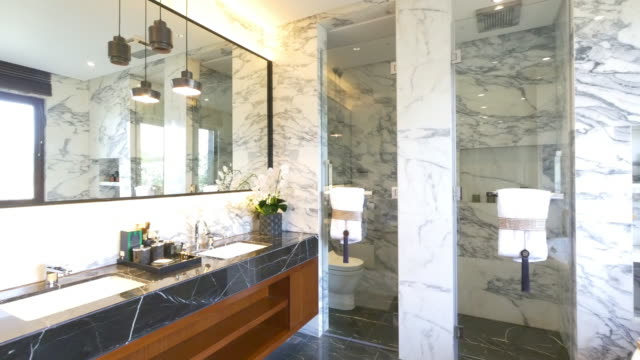 Unveiling Elegance: Contemporary Trends in Bathroom Remodeling