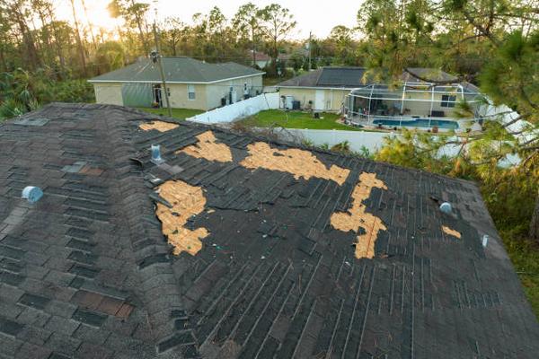 Understanding Roof Replacement Timelines for Homes in Sarasota